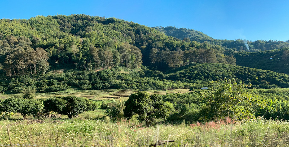 DD9D266E-6713-4187-9C9B-3042BB6187DE