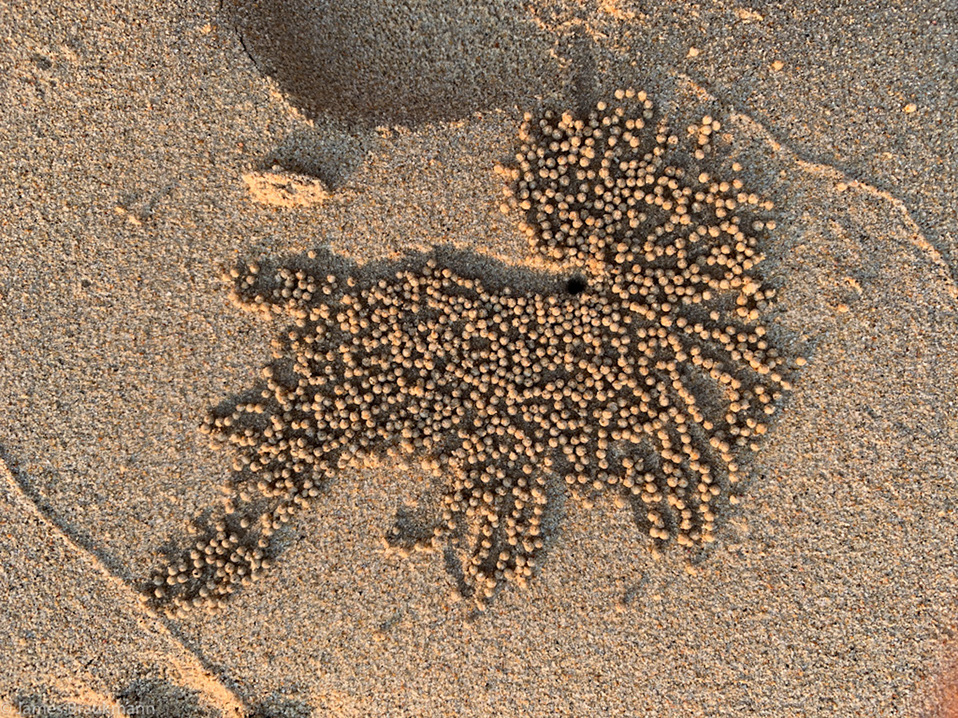 65DDC9C3-D88A-489D-B2B8-0E3F5756114A